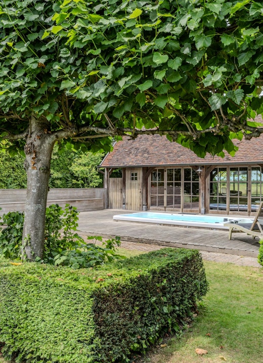 De tuin