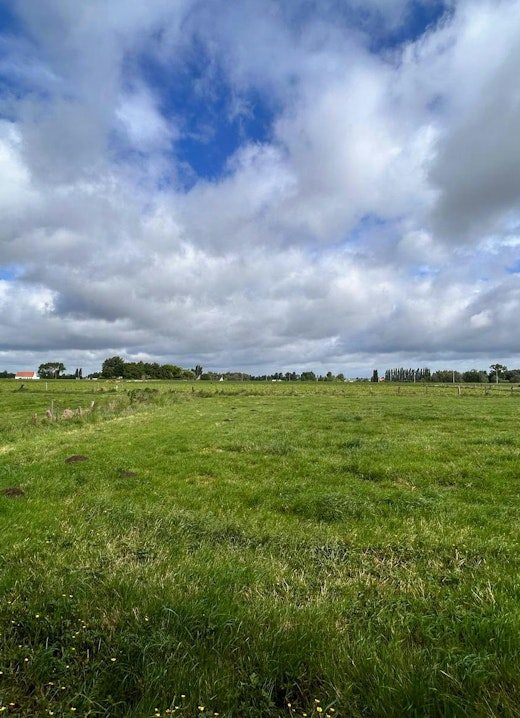 De bouwgrond