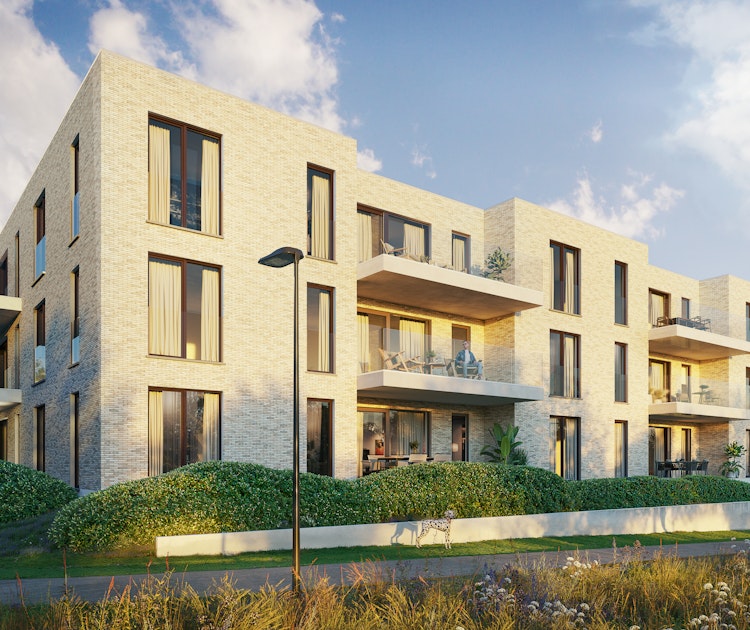 Nieuwbouwproject Kruishove in centrum Kruishoutem