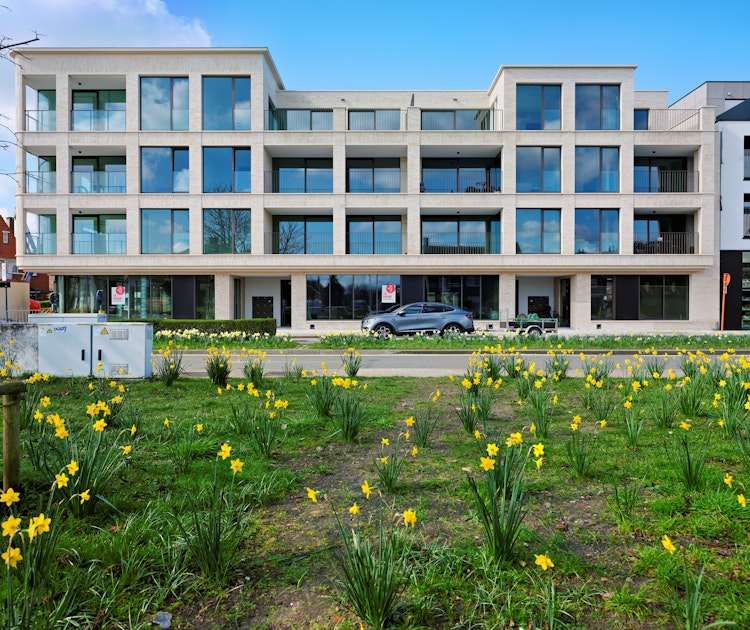 Nieuwbouwkantoren (1.016 m²) te huur in Brugge.