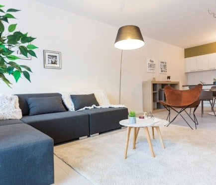 De Roodbaard - Bespaar tijdelijk 15% btw op uw aankoop!*