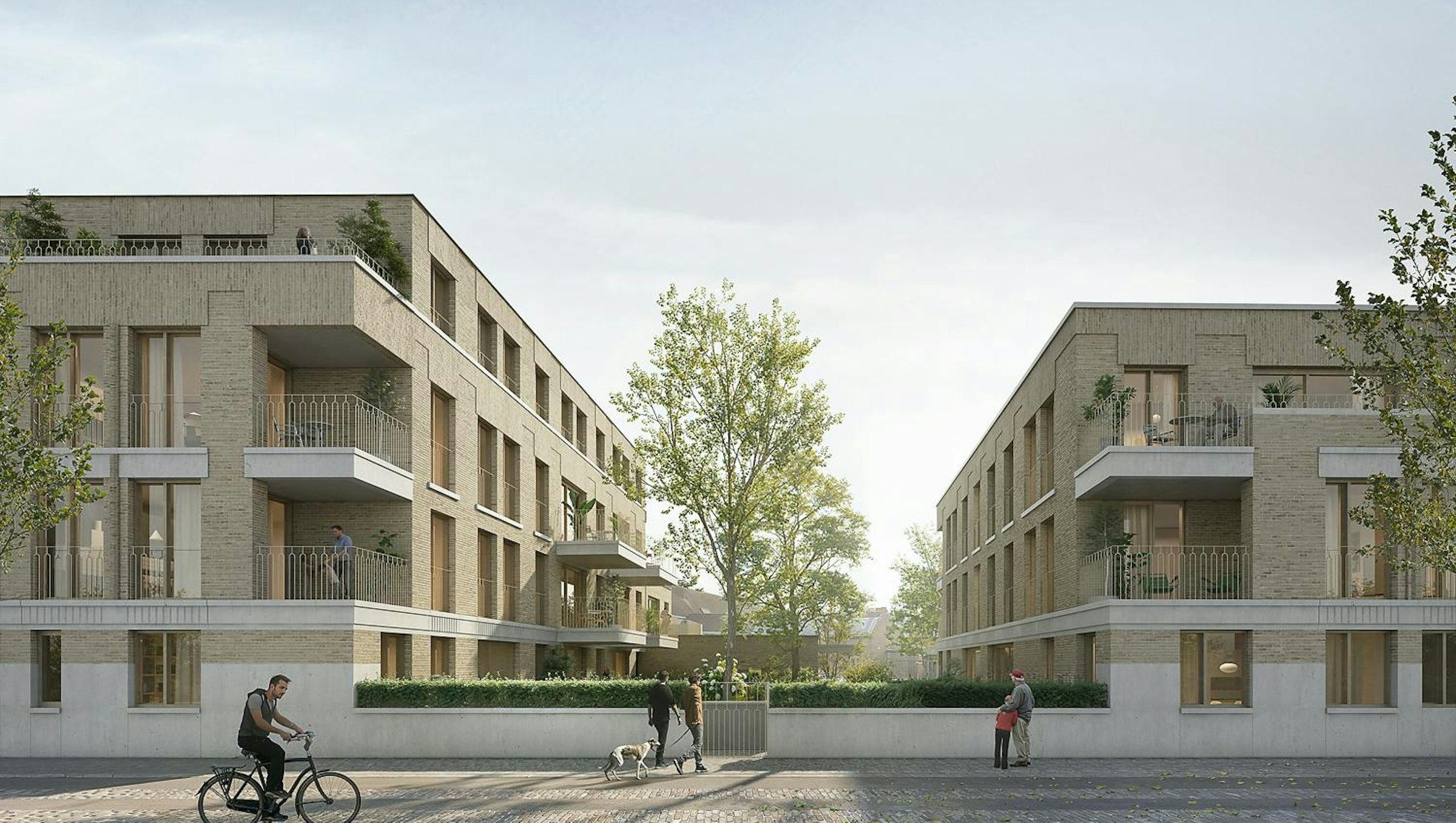 Charles te koop in Waregem