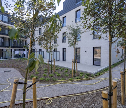 Nieuwbouwproject Sint-Amandus te koop in Zwevegem