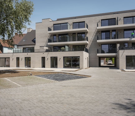 Albert & Jerome te koop in Desselgem