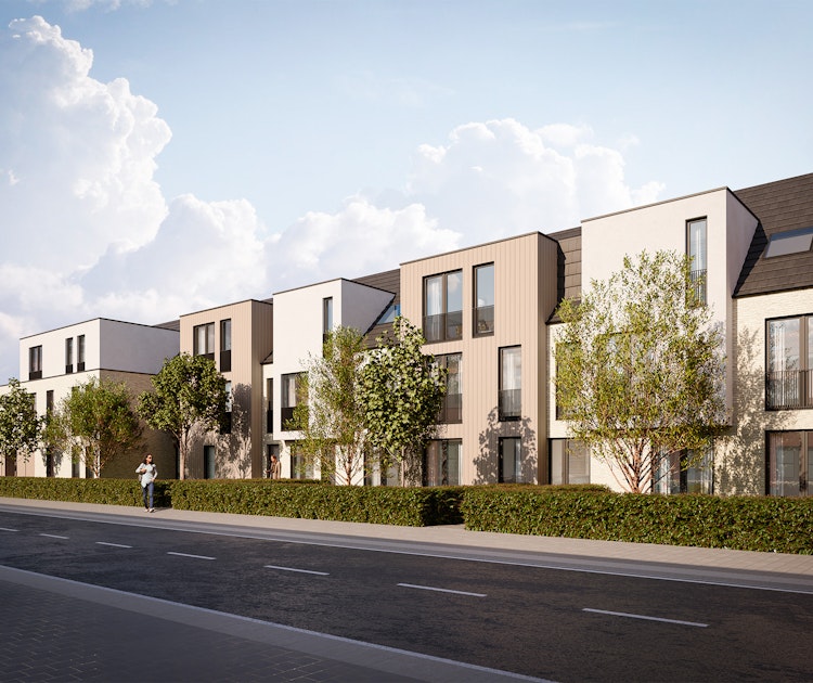 De Roos in Kalmthout