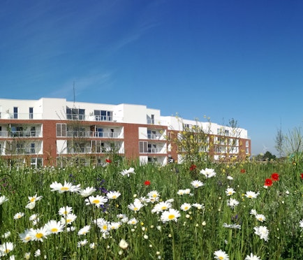 Leanderhof - De Glacerie