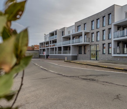 De Roodbaard - Bespaar tijdelijk 15% btw op uw aankoop!*