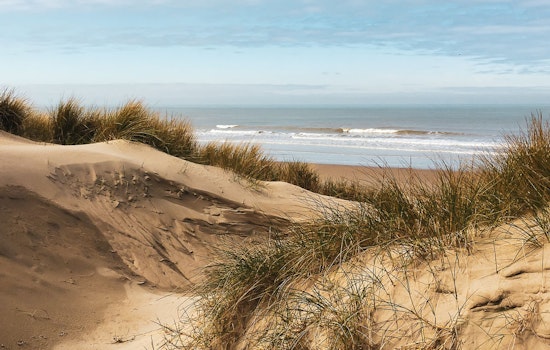 Oostende duinen
